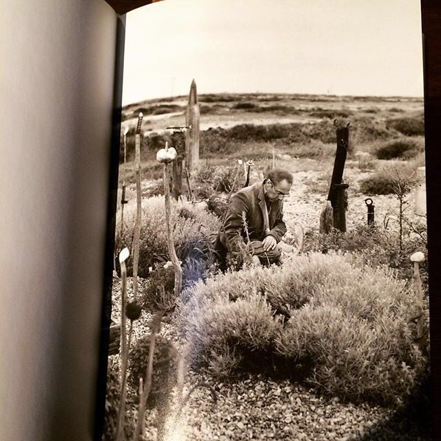 自然の本「Derek Jarman's Garden」 - 画像3