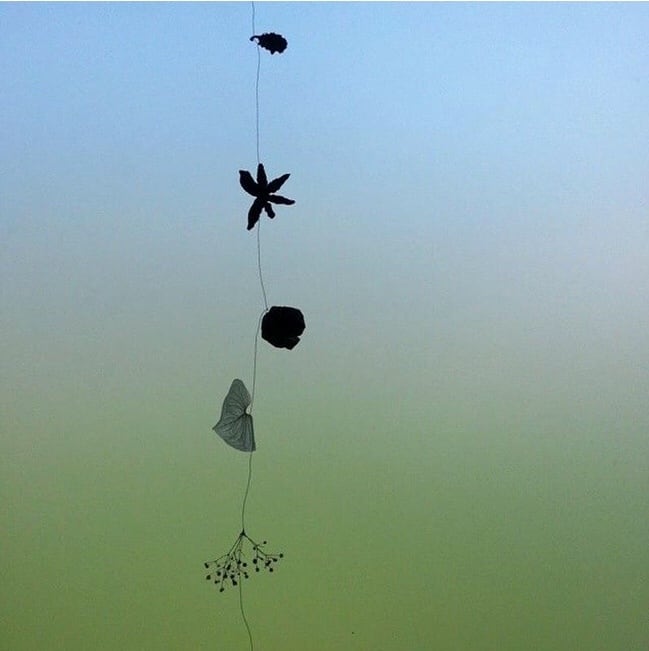 marsa＊ 木の実ガーランド | tenori