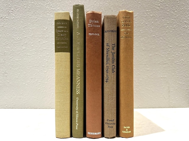 【SPECIAL PRICE】【DS475】'Solution'-5set- /display books