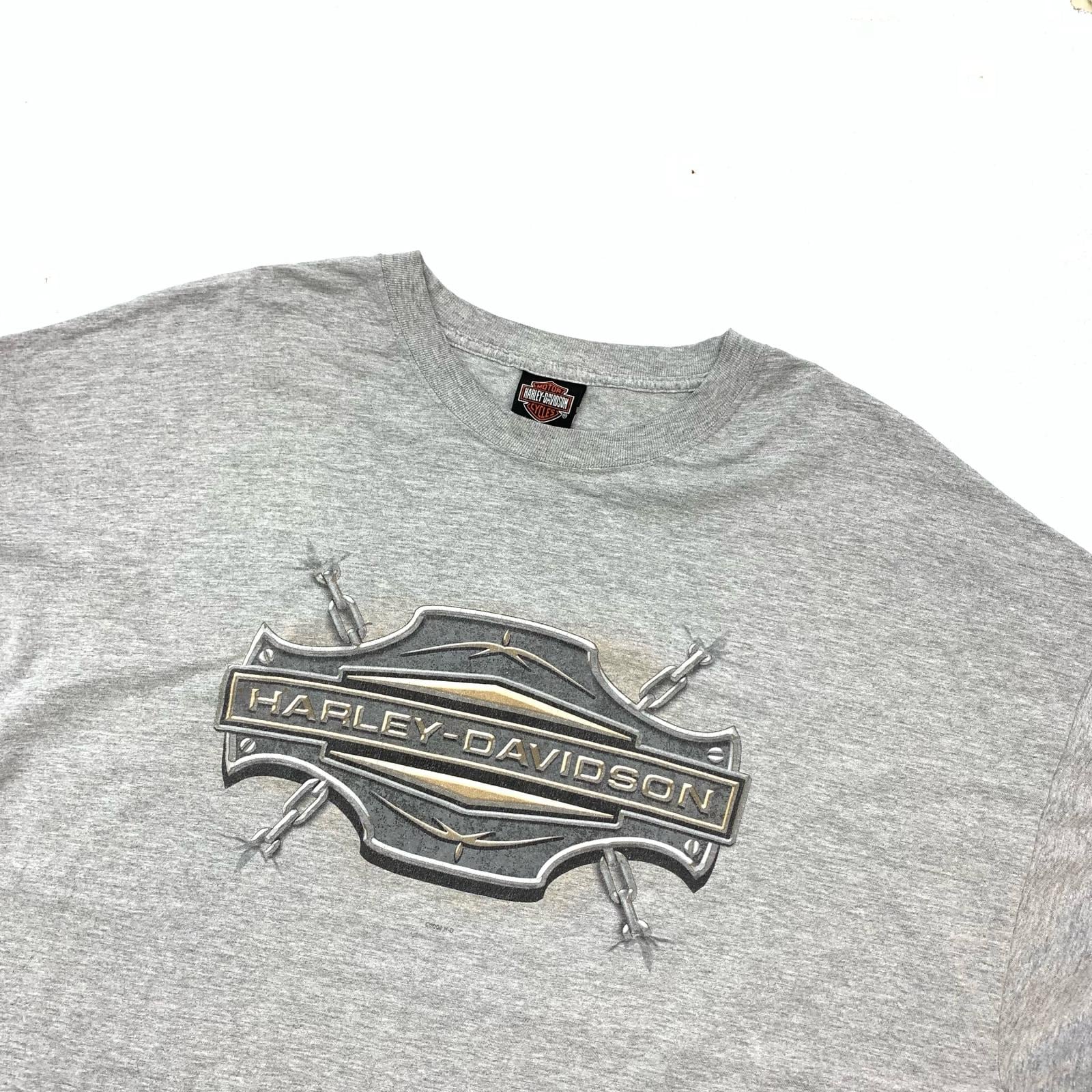 HARLEY-DAVIDSON ハーレーダビットソン 長袖Tシャツ 00年代 BIG BOAR