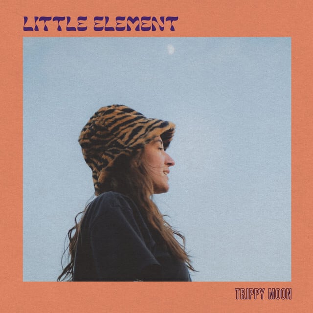Little Element / Trippy Moon（LP）