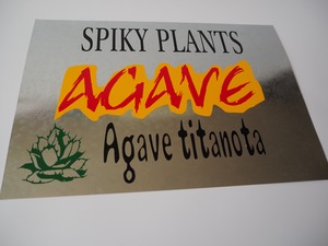 【アガベ　ブリキサインプレート　Ⅰ】看板　ハンドメイド　植物サインプレート