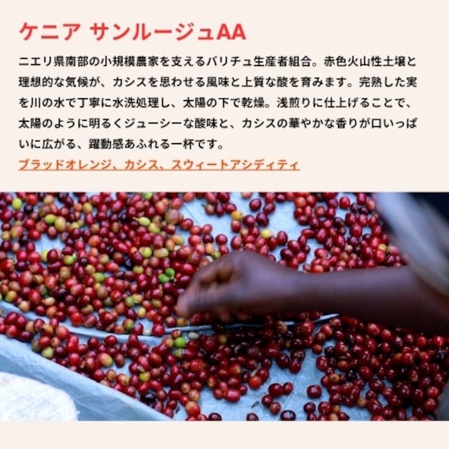 ケニア　サンルージュAA　中浅煎り　200g