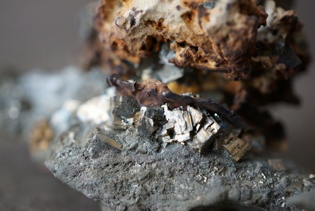 亀甲石 / パイライト Septarian / Pyrite 1237