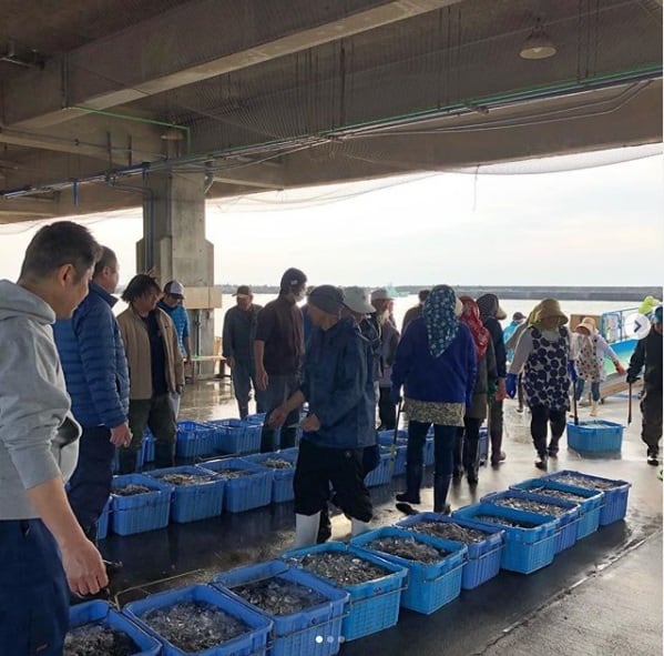 若干しらす＆桜えびセット（大）（化粧箱入） | しらす屋 丸三水産