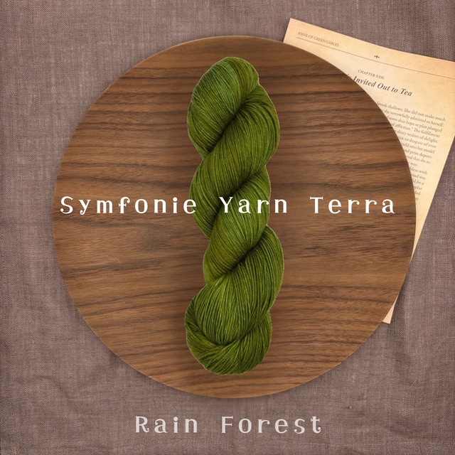Symfonie Yarn 「Terra」- Rain Forest- 手染めソックヤーン 中細 100g 400m 靴下編み 毛糸 ニットプロ