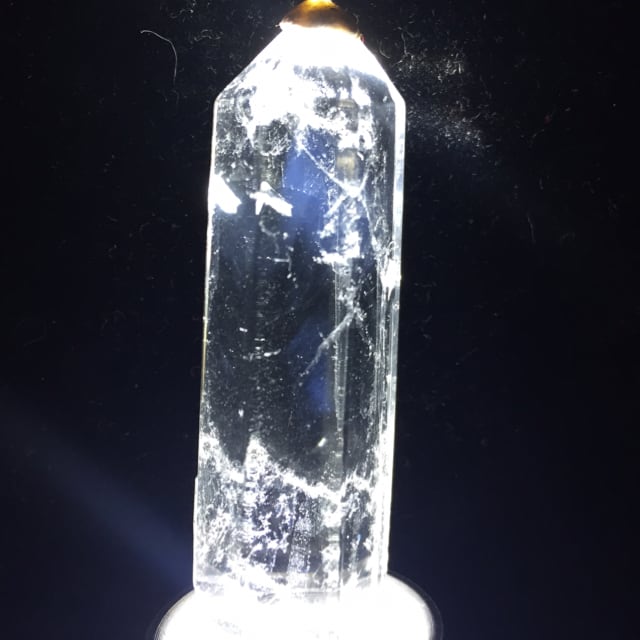 142) ブルーエンジェルラダー(お一人様1点限り)