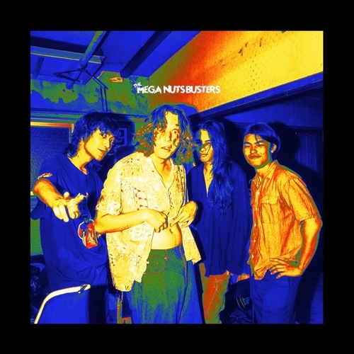 THE MEGA NUTS BUSTERS / UNKNOWN FEELING OVERLOAD