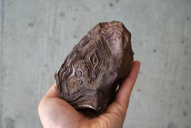 クムル産火山砕屑岩 Volcano-sedimentary Rock 1125