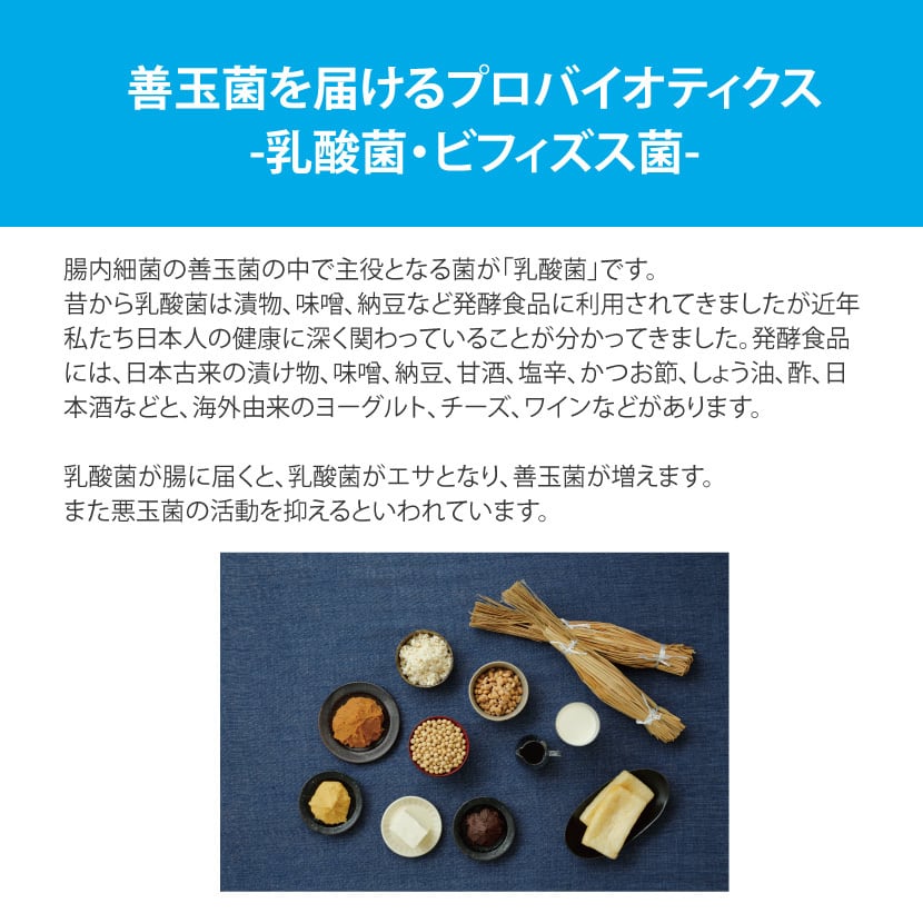 母の日ギフト 2026 リタヘルス5000