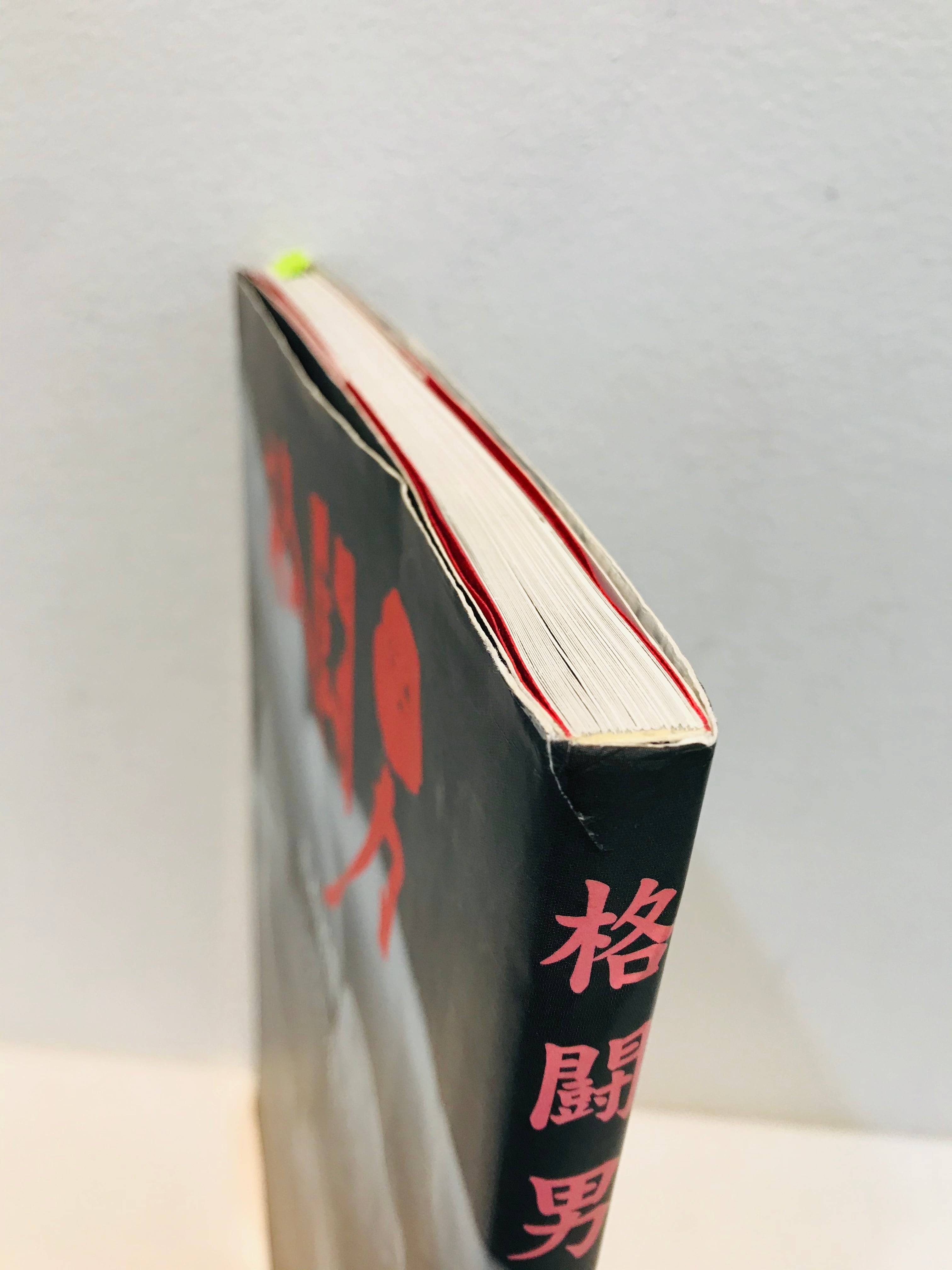 サイン4名 格闘男 荒木経惟vs11人のプロレスラー | zbooks