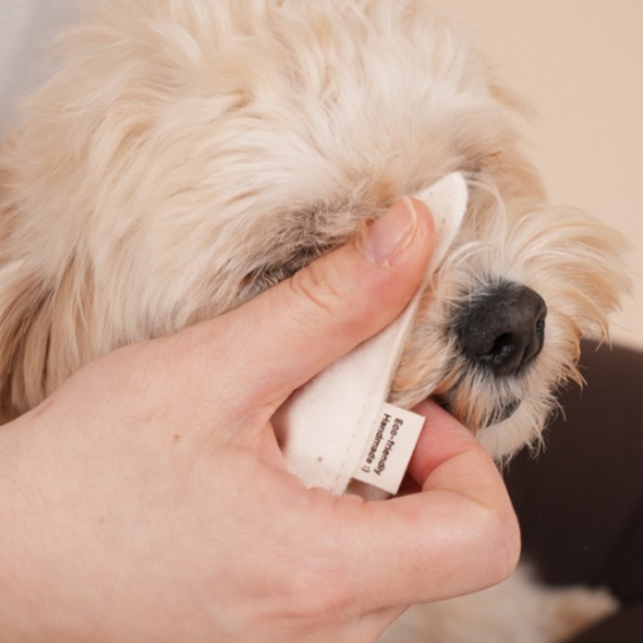 【予約】Tear Puff - 2