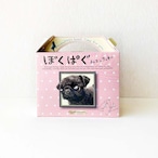 【洋菓子】さくッ！トロ〜リ♪チョコインクッキー10個入（絵本『ぼくぱぐ』キャラプリントボックス）BOX ケース ピンク