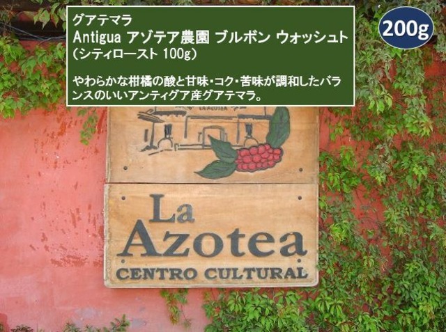グァテマラ Antigua アゾテア農園 ウォッシュト（シティロースト 100ｇ）