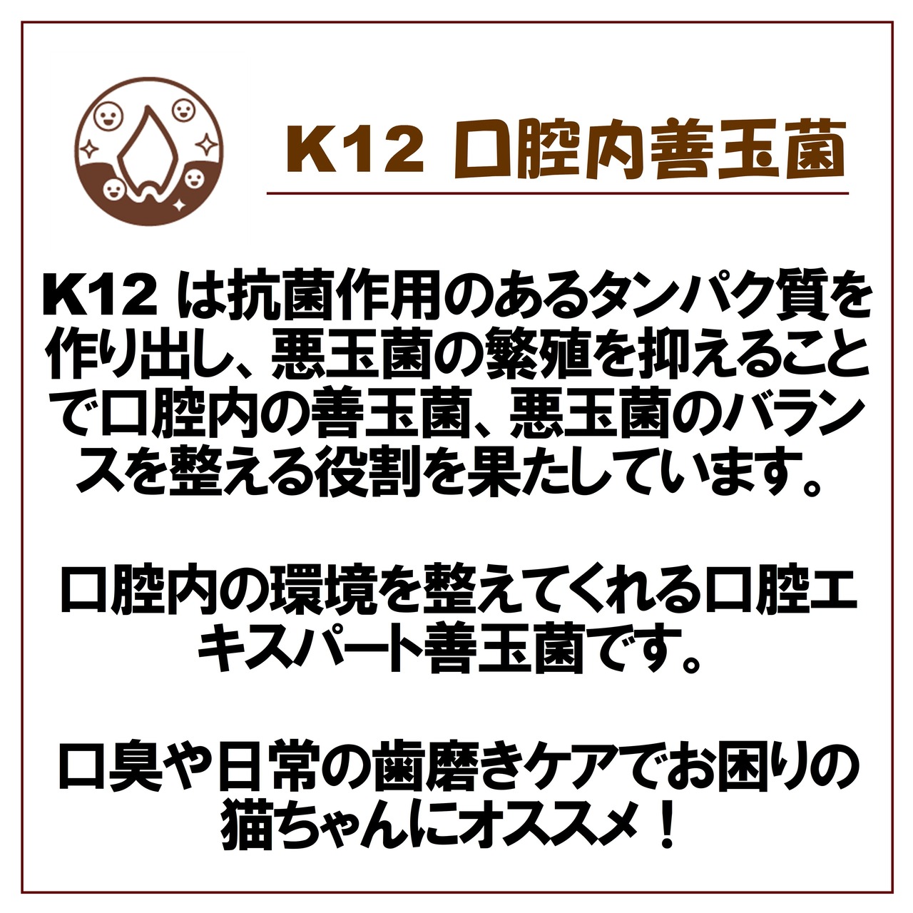 ※訳アリ商品【ブリスミックス,グレインフリーキャット(500g)】口臭ケア！チキンを主原材とした穀物不使用の高カロリーフード！痩せ気味の猫ちゃん、運動量の多い猫ちゃん向け！