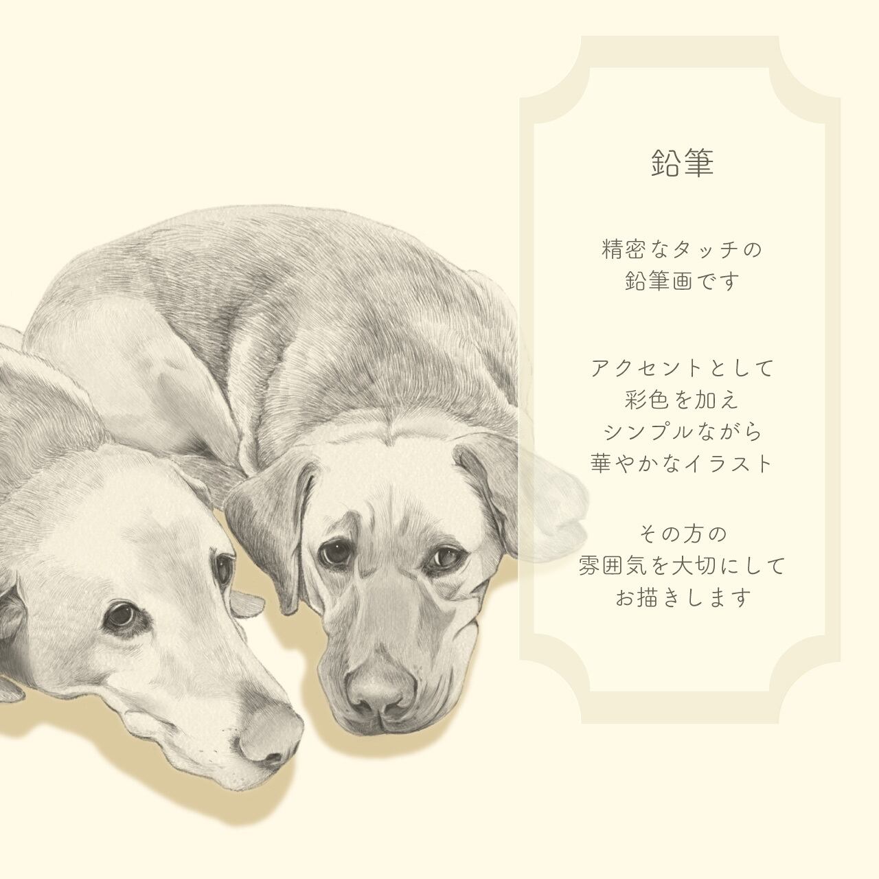 値下げ 鉛筆で描くペット似顔絵 猫用品