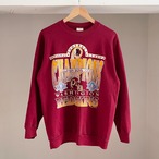 【Sz:XL】90s TULTEX 『NFL』 スウェット
