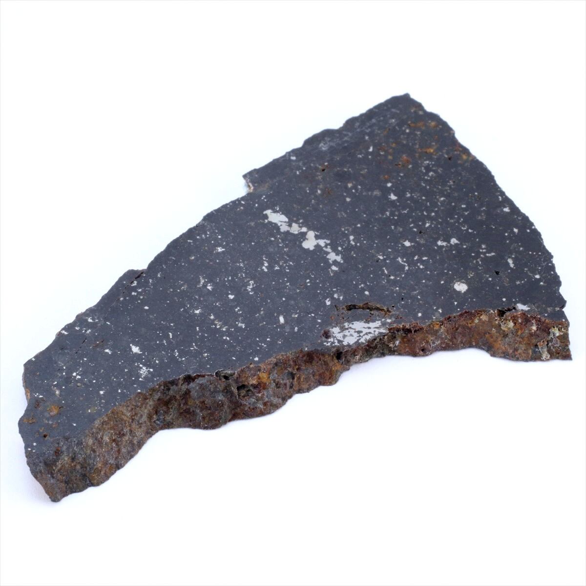 過去の様々な隕石 | 隕石販売.jp