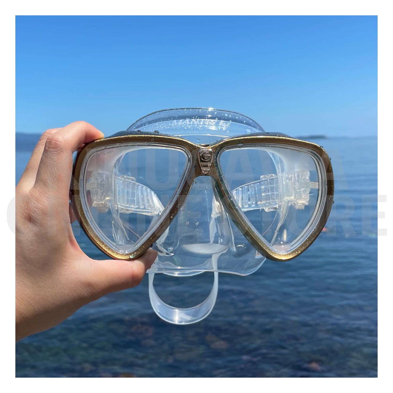 OnlineStore限定】MANTIS LV（カメレオンゴールド） GULL