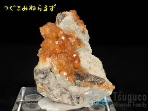 スペサルティン 満礬柘榴石 Spessartine 中国 TM-0024