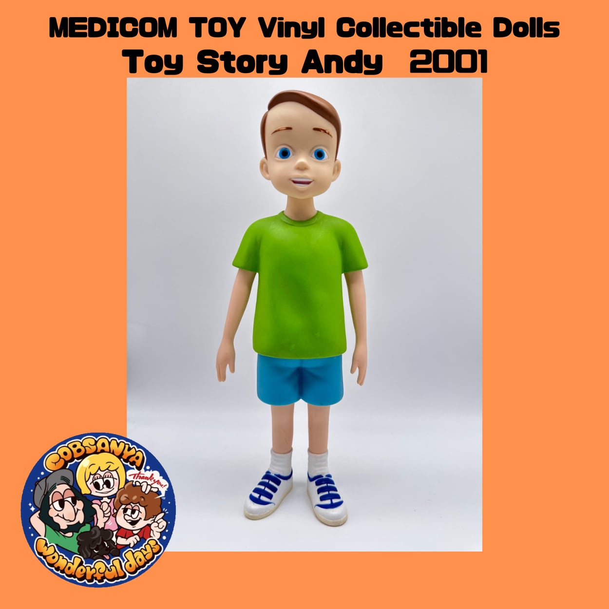 MEDICOM TOY Vinyl Collectible Dolls  Toy Story Andy  2001