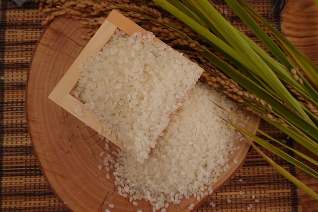 【令和5年度】5kg特別栽培米コシヒカリ