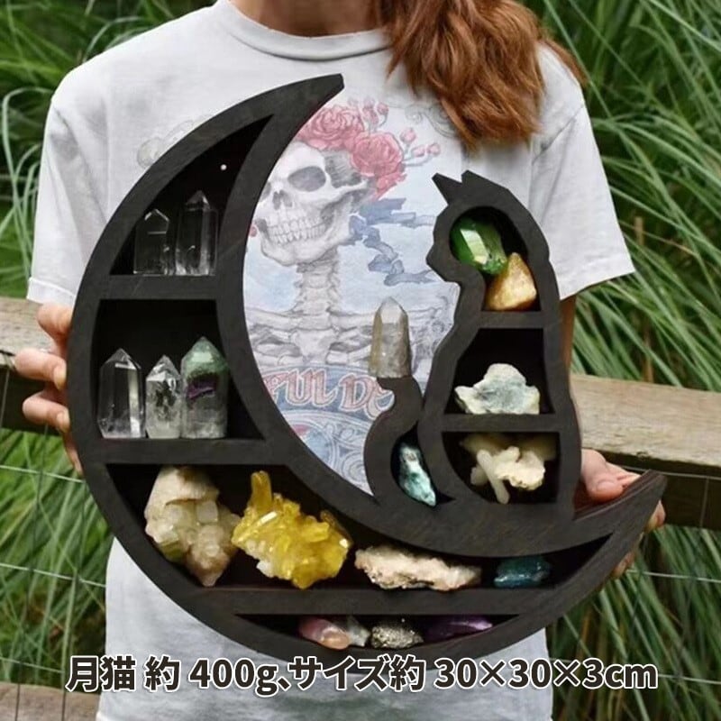鉱物 化石 天然石 原石 ミネラル パワーストーン 岩石 石 コレクション