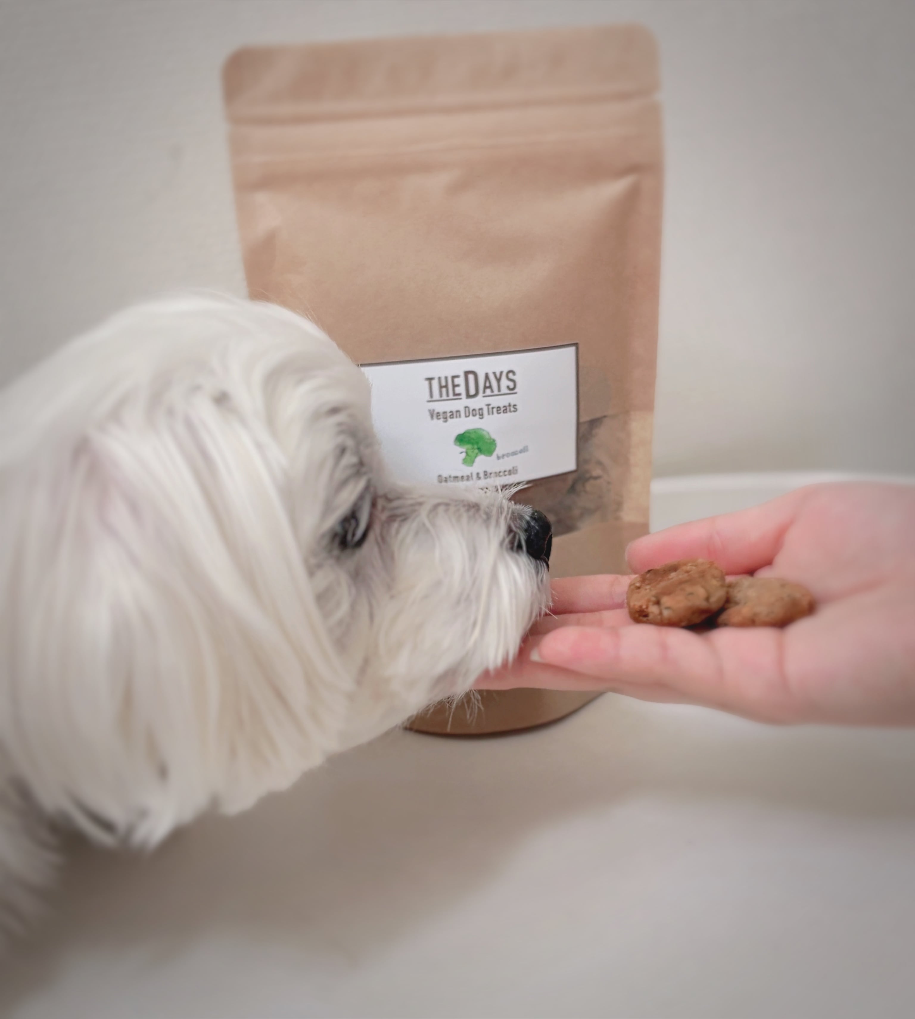 THE DAYS VEGAN DOG 【TREATS 】ビーガン ドッグ トリーツ ブロッコリー
