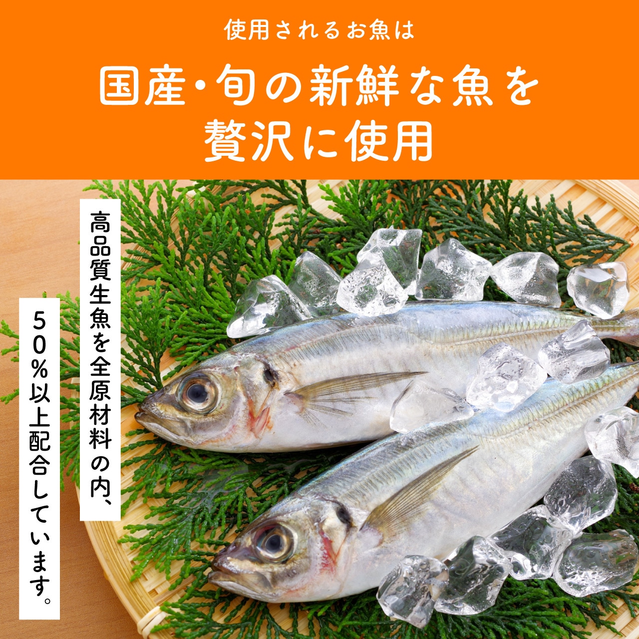 いぬみらい フィッシュ 800g