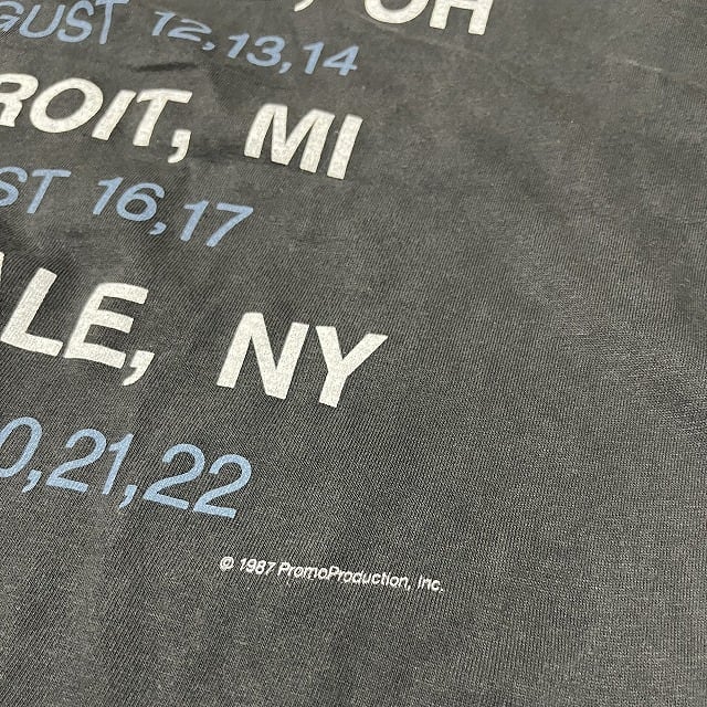 Pink Floyd ピンクフロイド Tシャツ A Momentary Lapse of Reason 1987