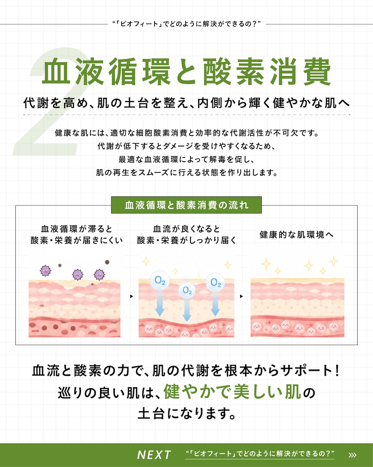 BIOPHYTO ハーバルコンプレックス