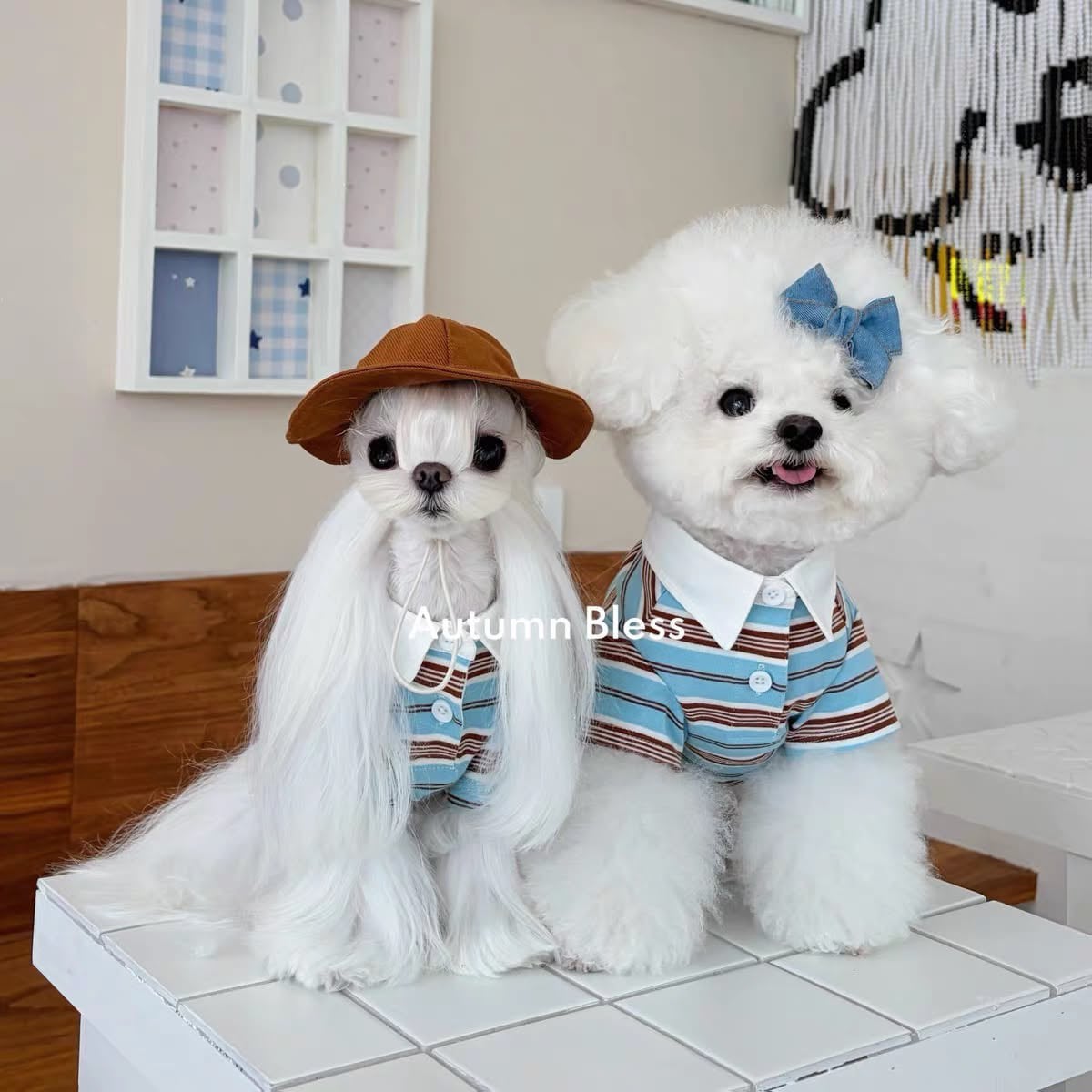 momozoo_dogwear