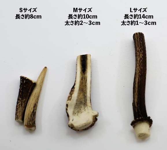 鹿の角 まとめて17本セット 日本鹿 おすすめ 鹿の角 - Yahoo