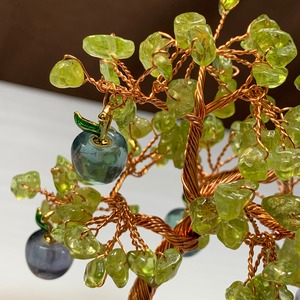 1.りんごがなる招財樹・ペリドット