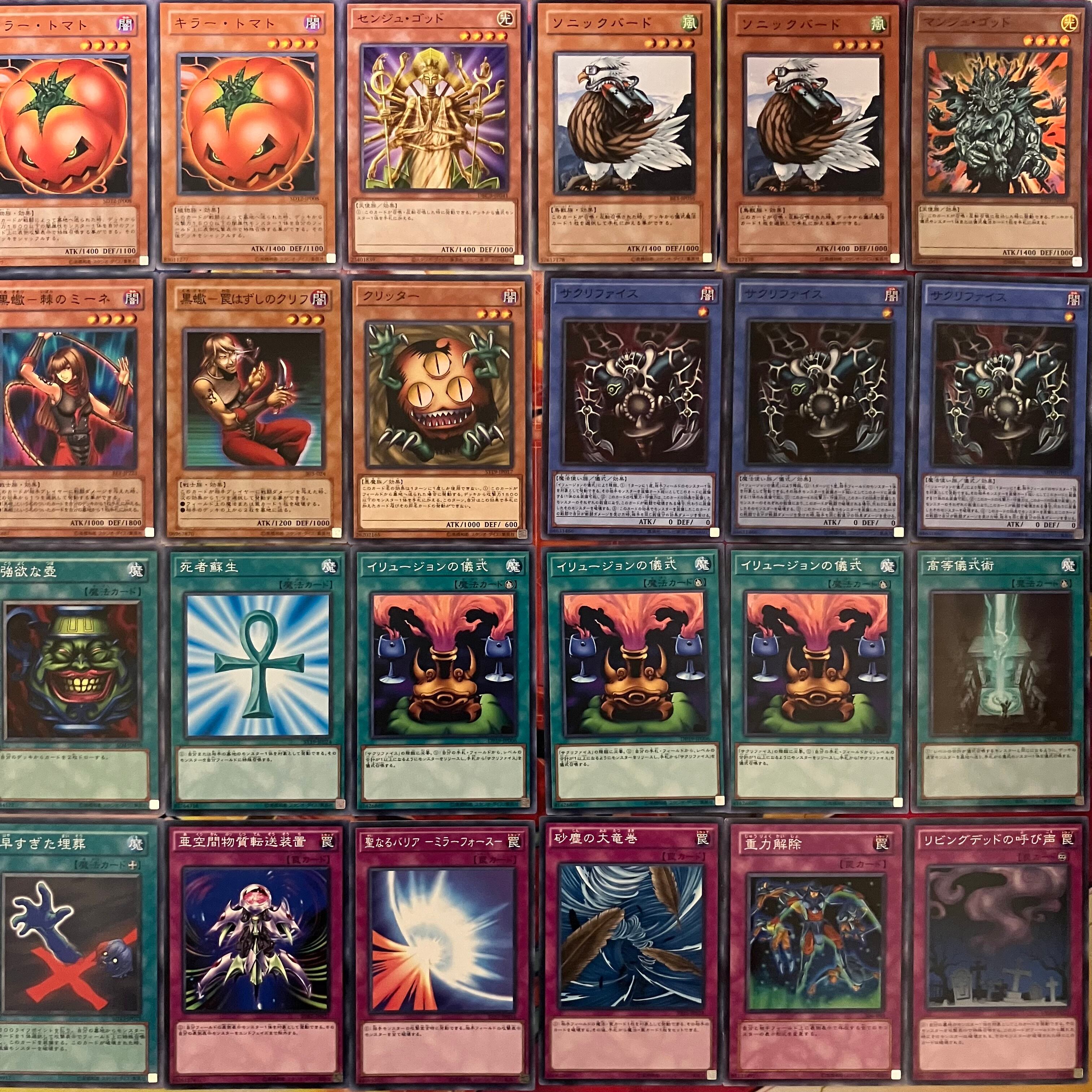 デュエルロワイヤル サクリファイス デッキ 遊戯王 | PAY ID