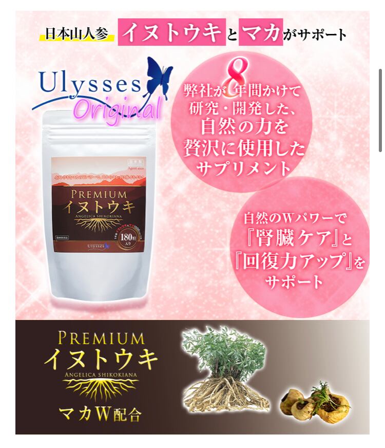 Premiumイヌトウキ3袋 可愛い