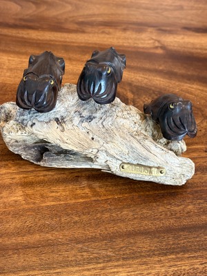 黒檀クブシミのオブジェ　(和名コブシメ)