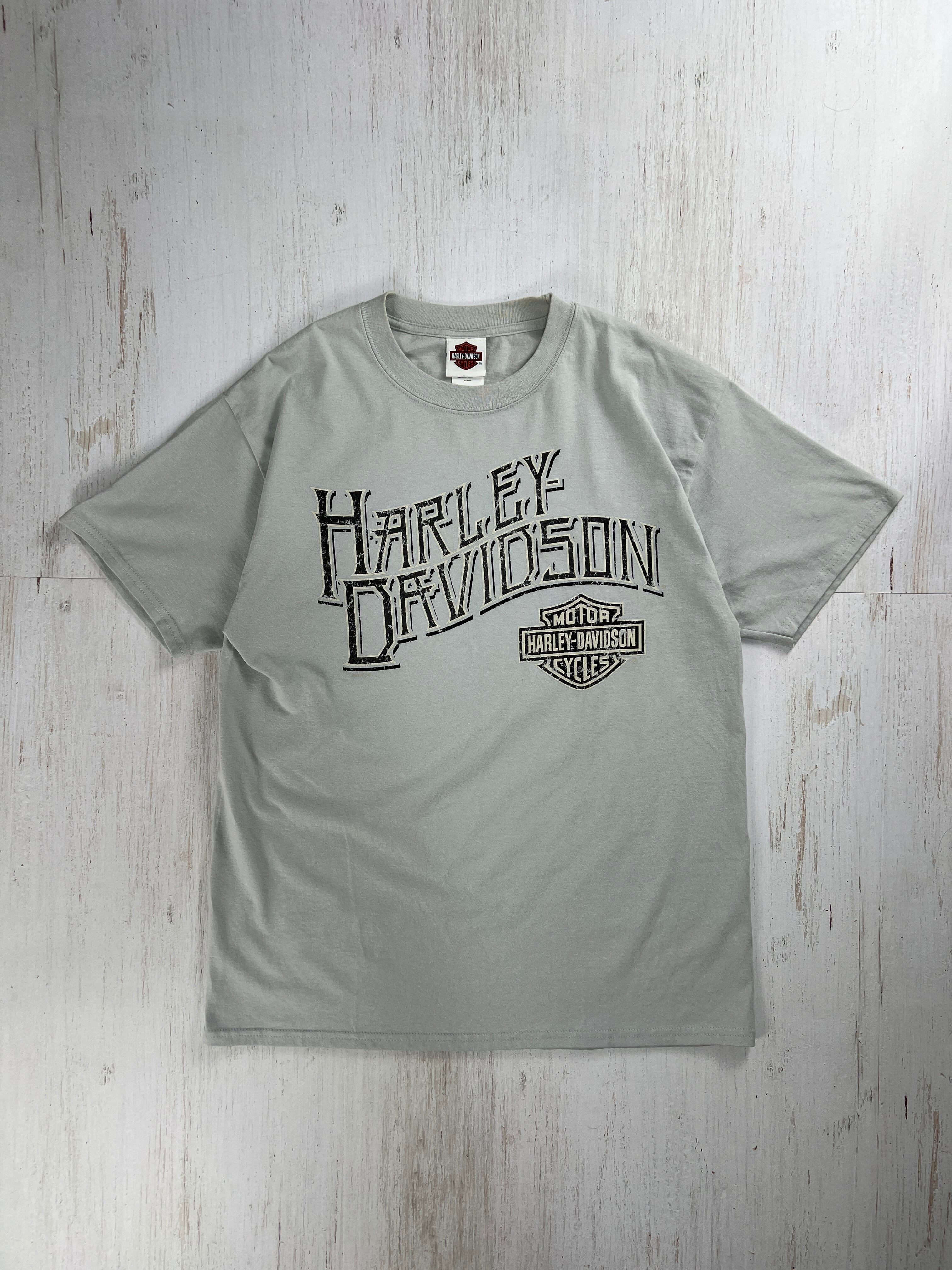 2000’s Harley-Davidson T-Shirt Gray L ハーレーダビッドソン Tシャツ ロスカボス メキシコ グレー Lサイズ(R.K.Stratman製)#F554