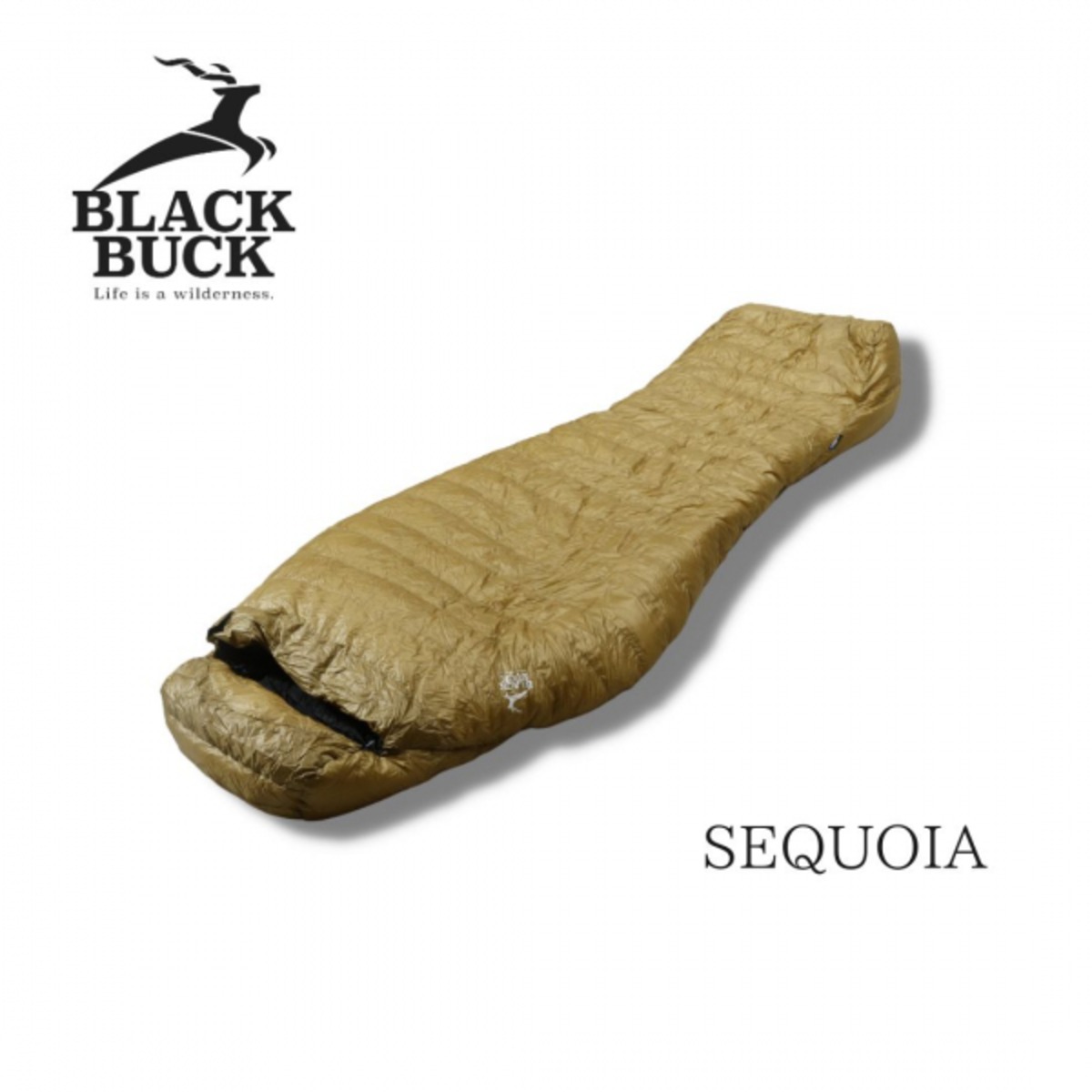 800FPダウンシュラフ500 - BLACKBUCK SEQUIOA - | OutdoorLife kano