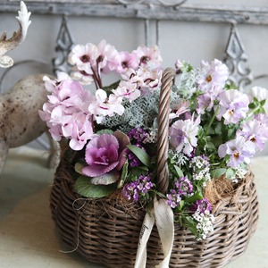 冬から春に楽しむ寄せ植え　ピンクの八重咲きシクラメンとビオラの春色のバスケットの寄せ植え　お正月にオススメ　届いてすぐ玄関に飾れる 　プレゼントにもオススメ　