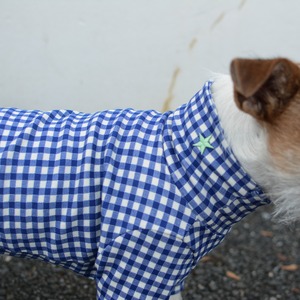 for dog gingham check turtle neck T-shirt blue