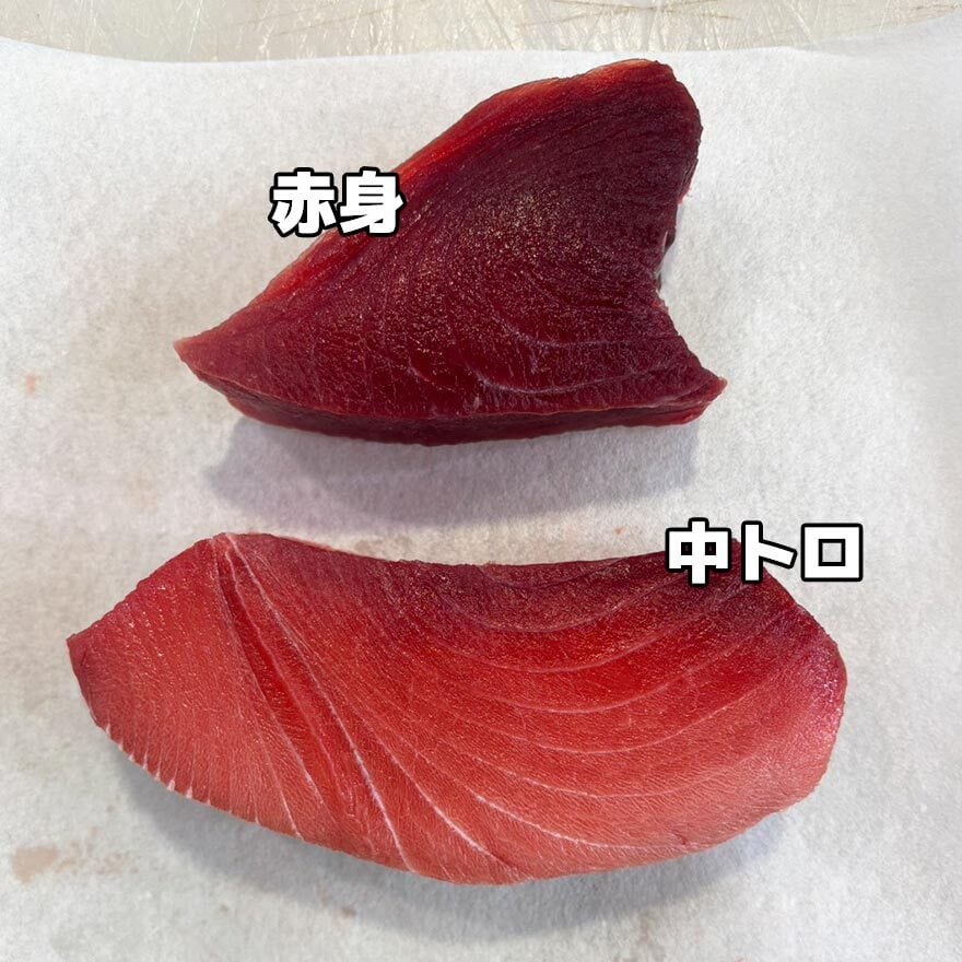 【まぐろ専門卸大伸】南まぐろ2点セット（中トロ・赤身）450g（冷凍）