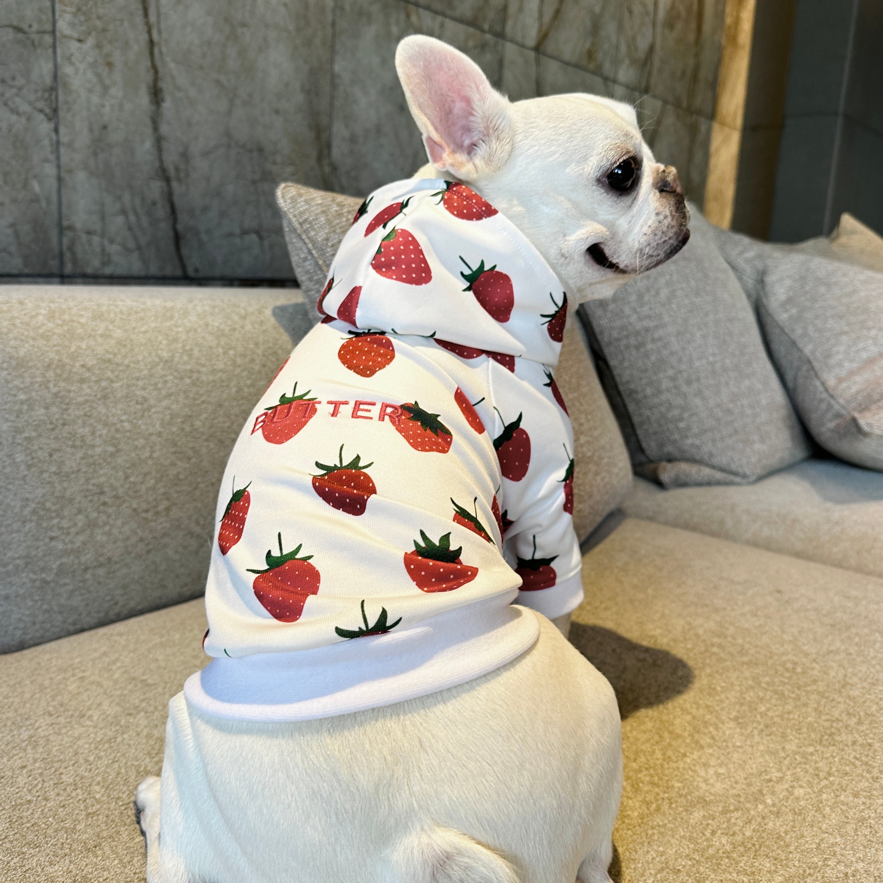 16250✨新品タグ付き✨GUCCI 犬服 いちご刺繍 赤白 ボーダー柄 グッチがブランド初の「ペットコレクション」を発売 約11万円のレイン