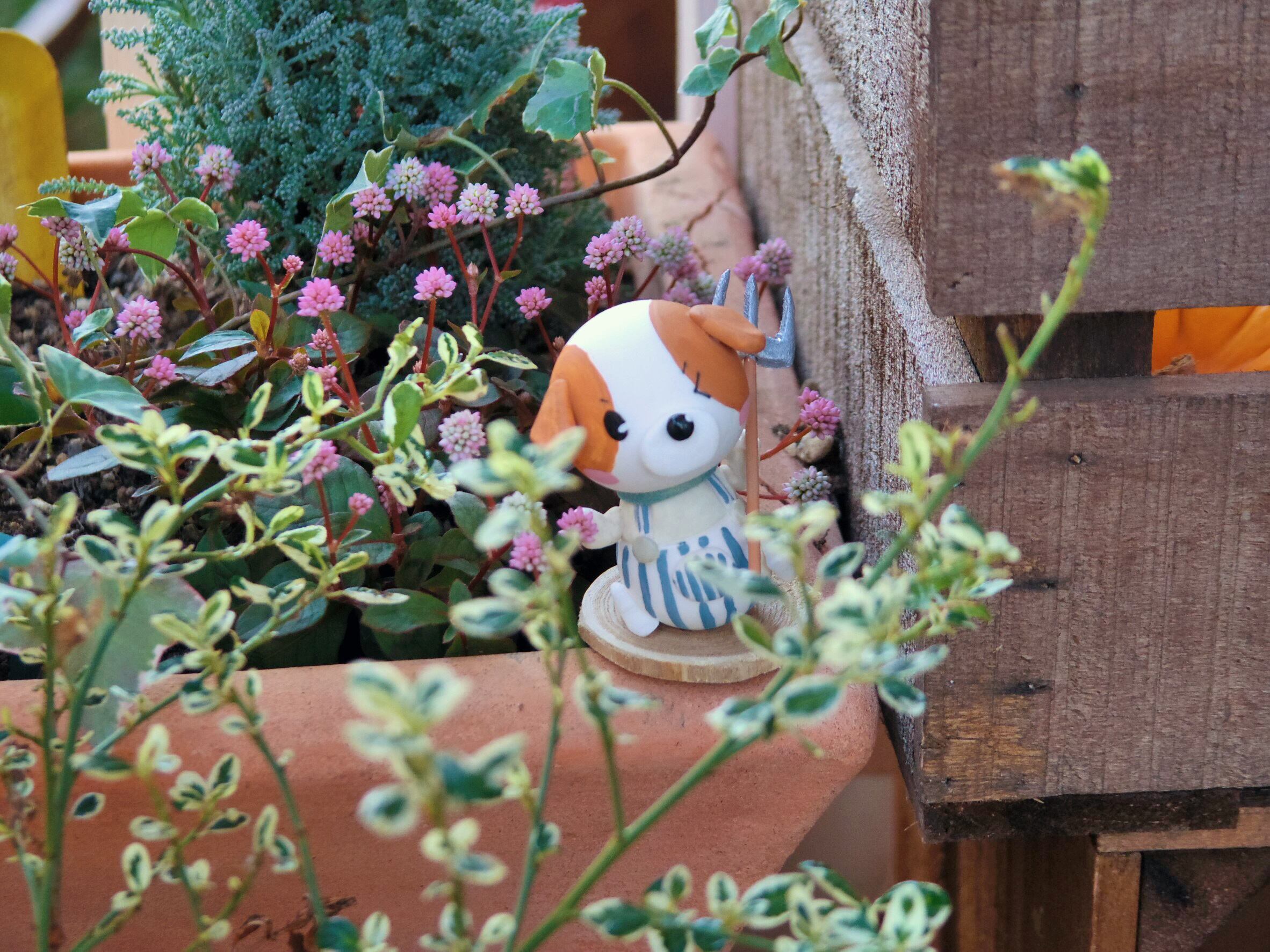 カントリー トミー