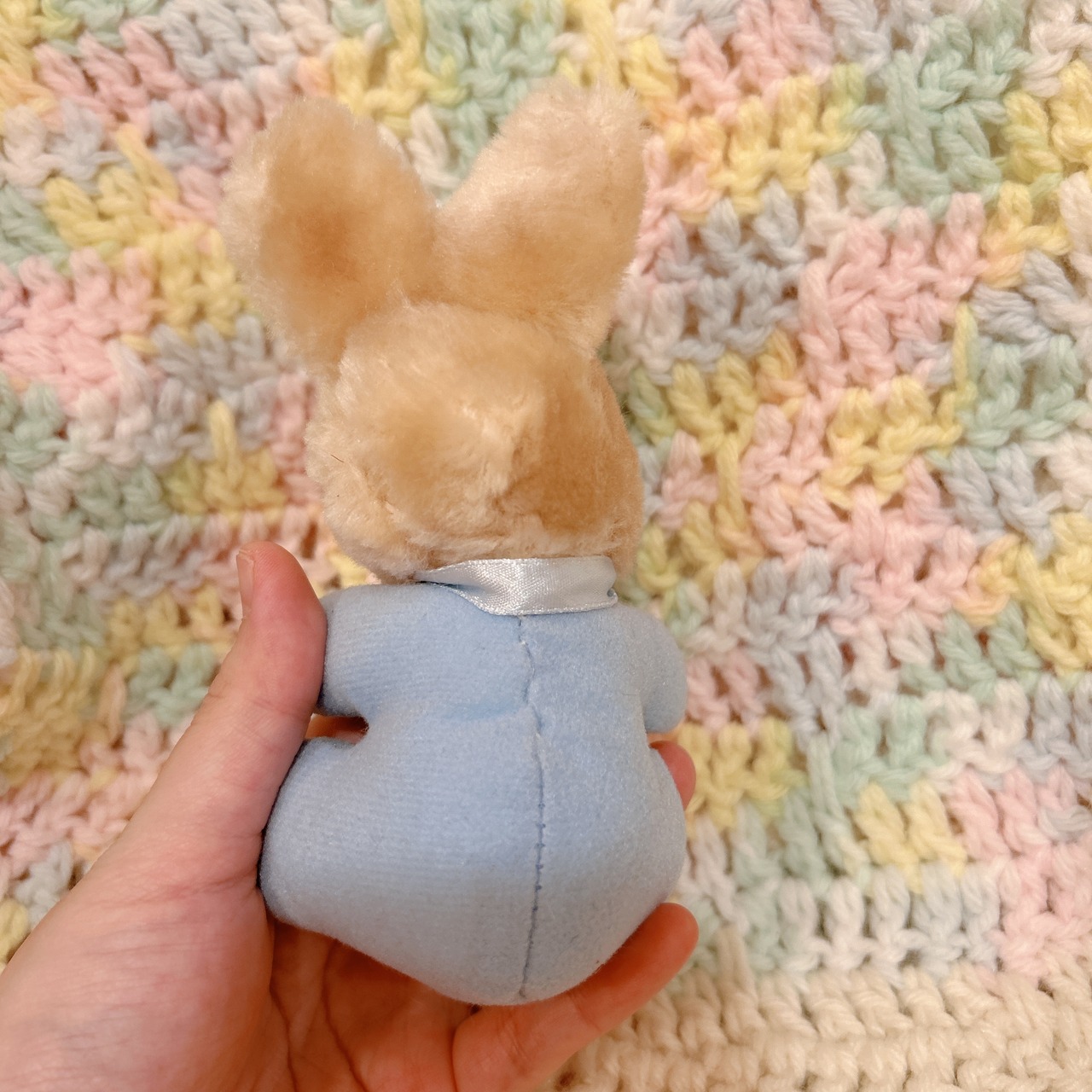 mini baby buunyの画像02