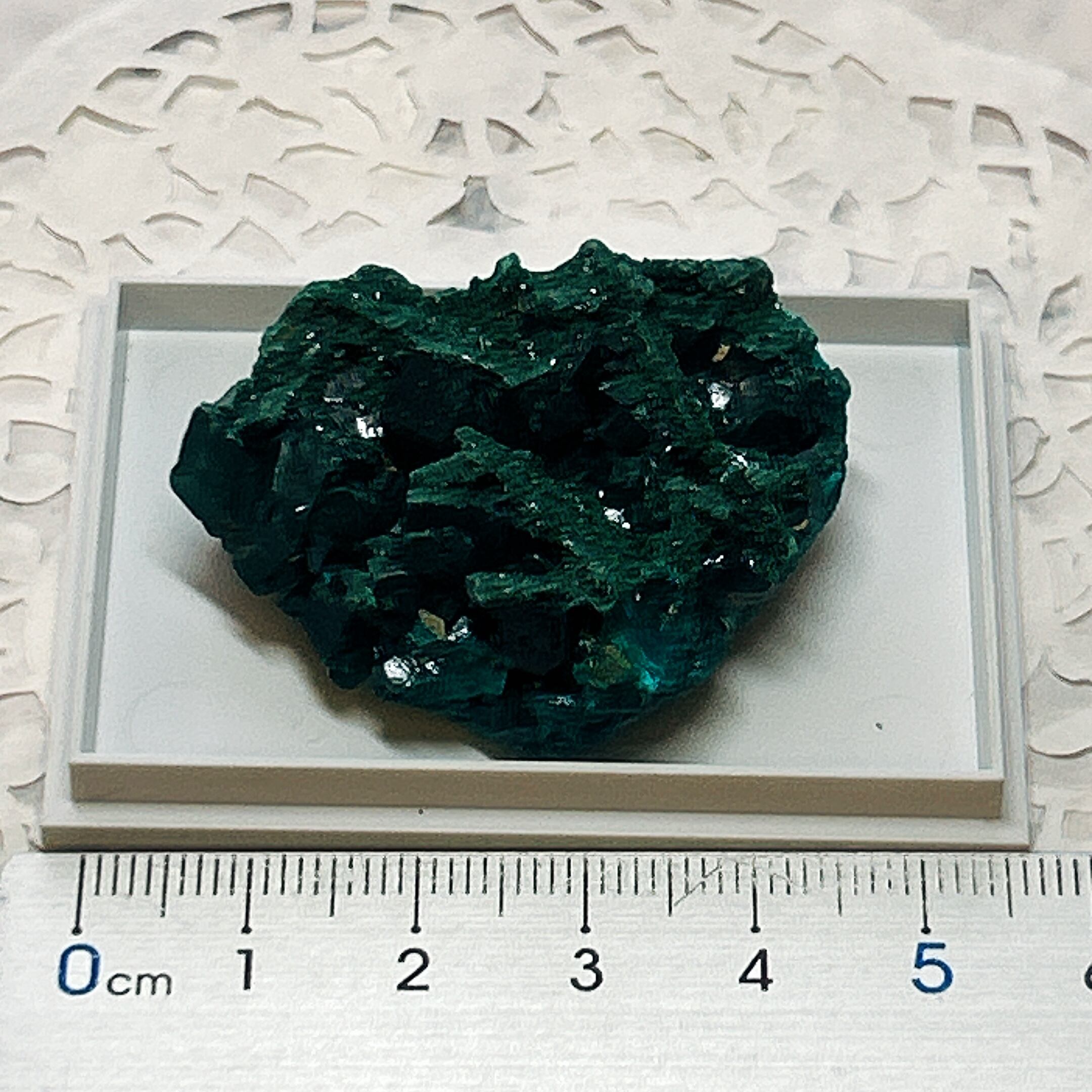 ⭐ダイオプテーズ（翠銅鉱） | クリスタル・ワールド御徒町店