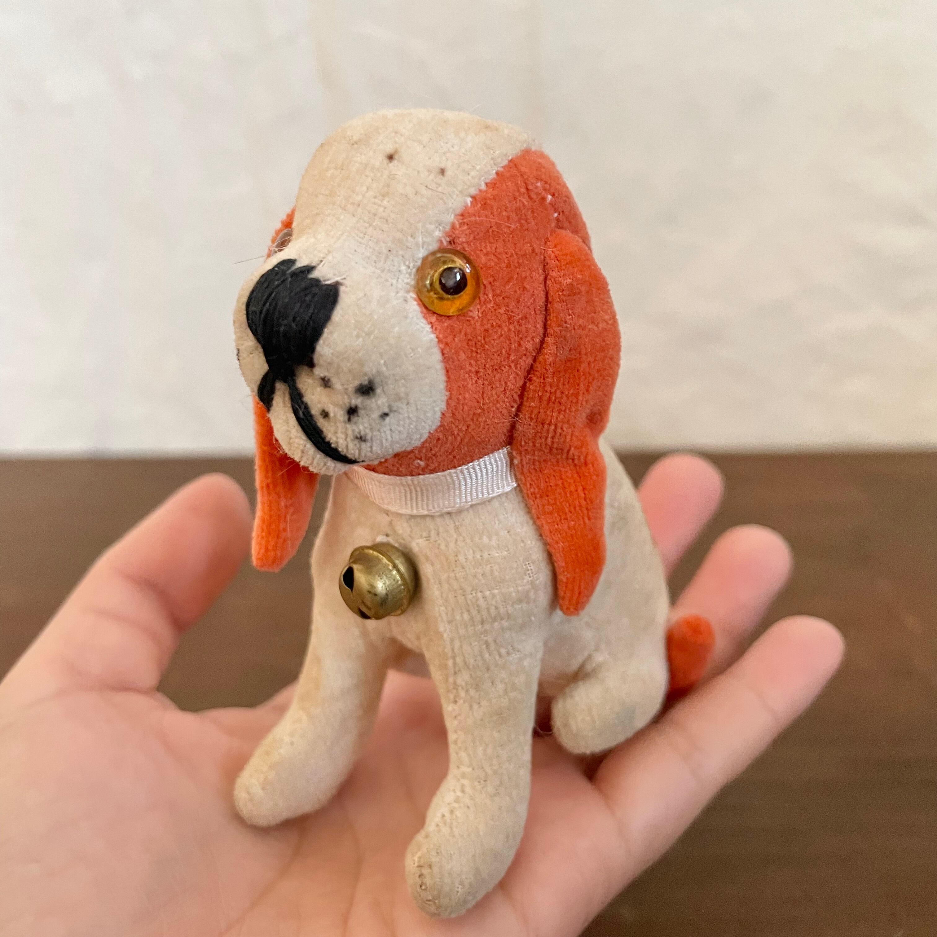 オレンジの耳の犬