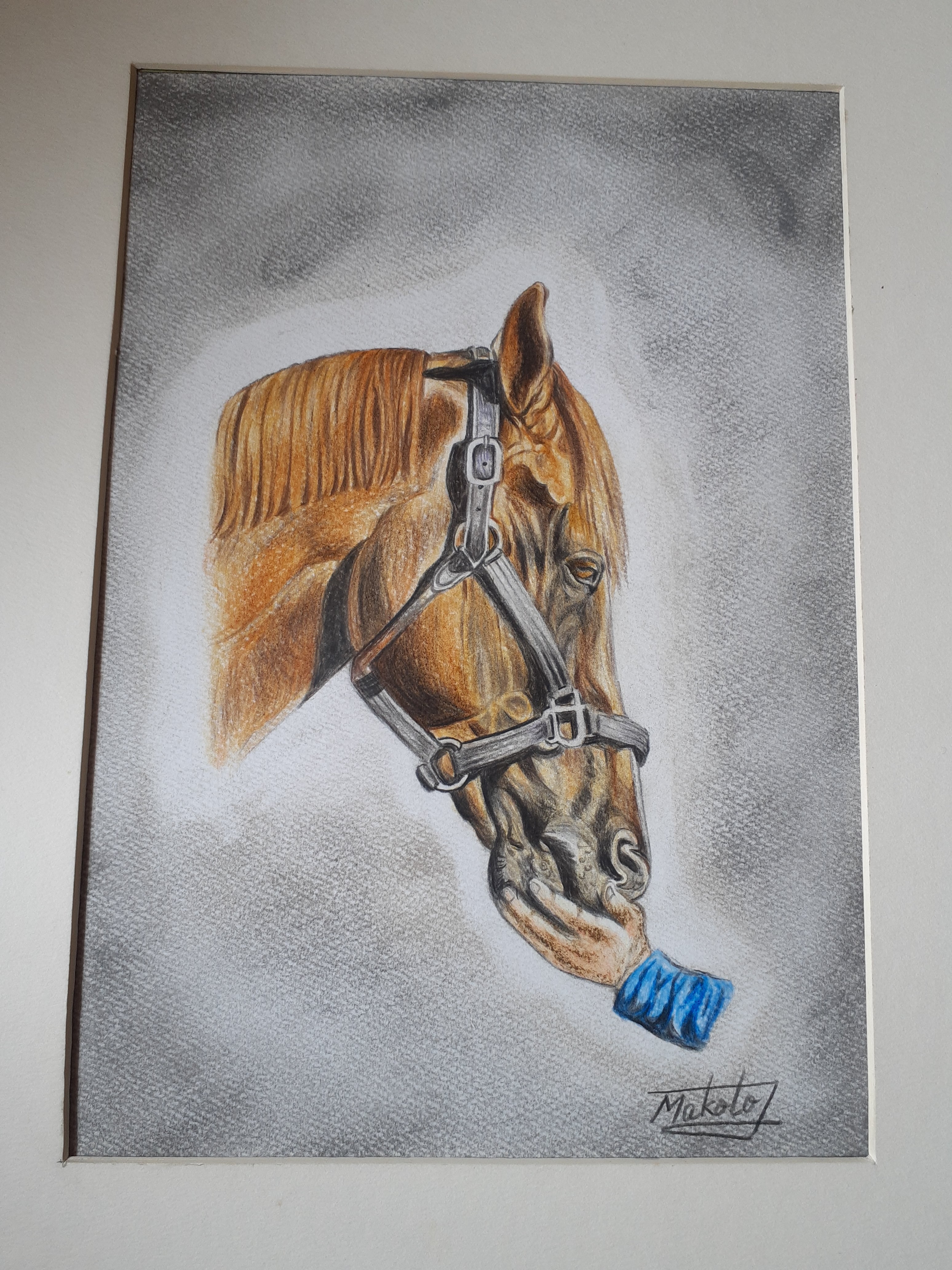 色鉛筆画 愛馬 | 工房 和み