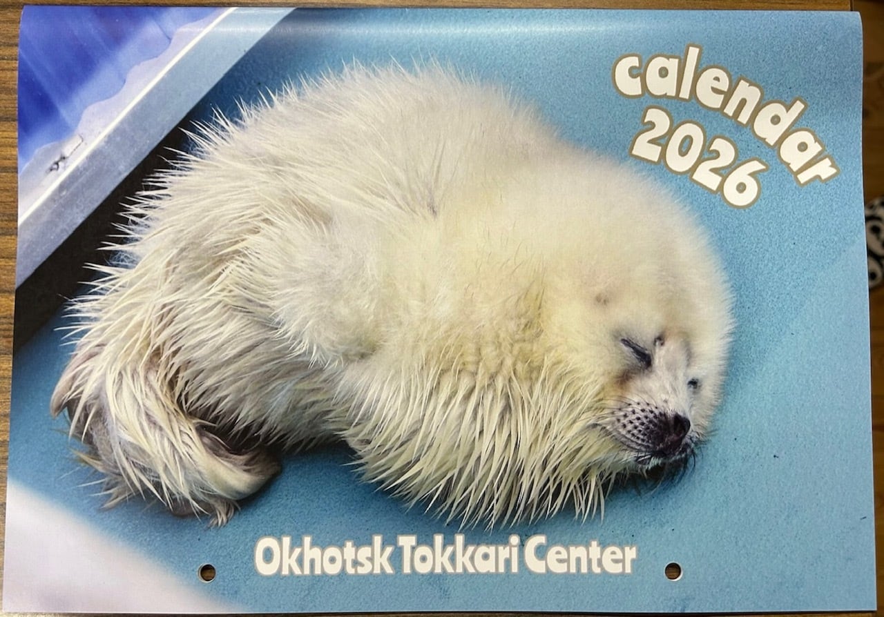 アザラシ ?media_id=3731615867181554688