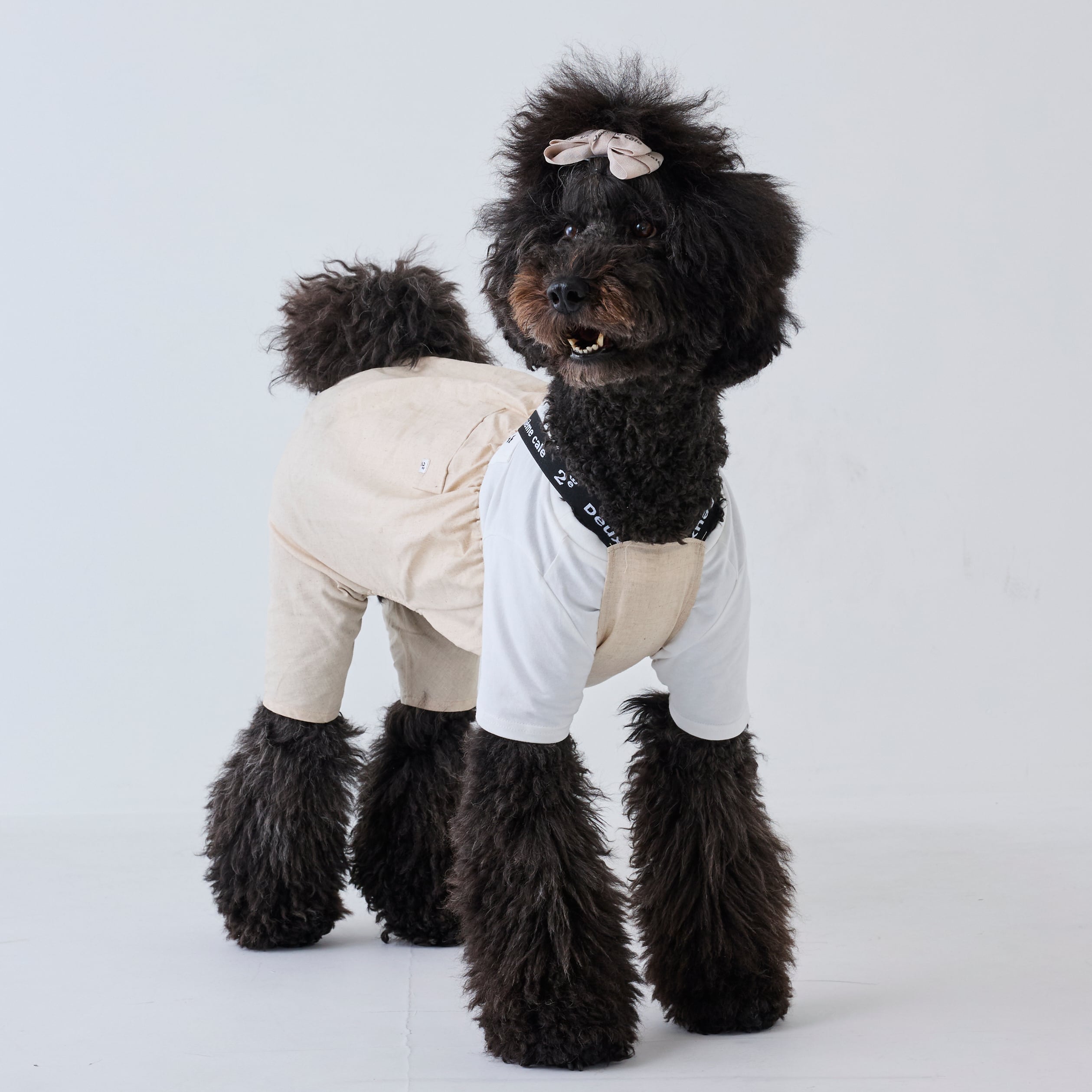 251024大型犬サイズ] ロゴゴムロンパース | 犬服ブランド 2e deuxieme